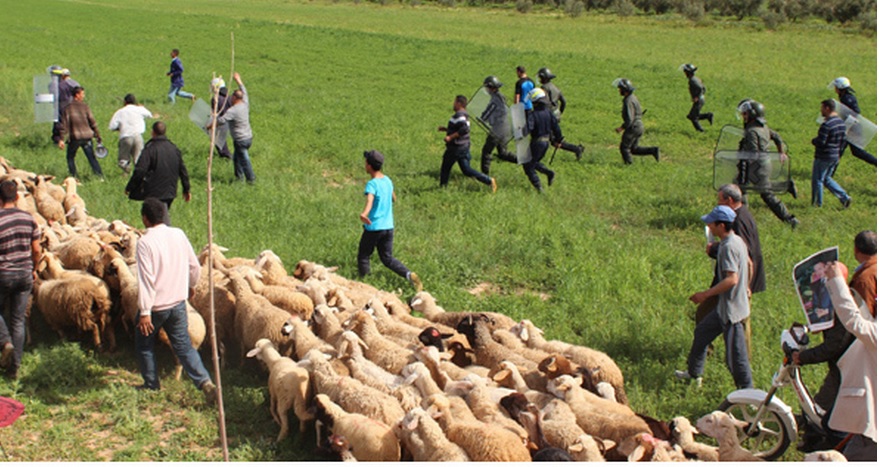 احتجاجات عارمة على 'الصفريوي' بعد سلب أراضٍ زراعية من فلاحين بالقوة لانشاء معمل للاسمنت واتهامات بتدمير الفرشة المائية